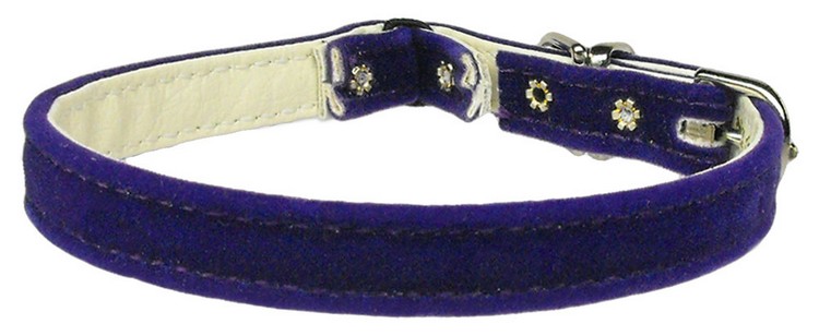 Velvet 3/8" Plain Cat Collar w/ Band Purple 12